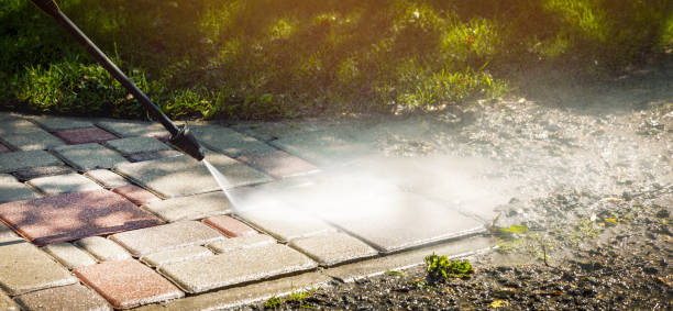 Animal Enclosure Cleaning in Vance, AL